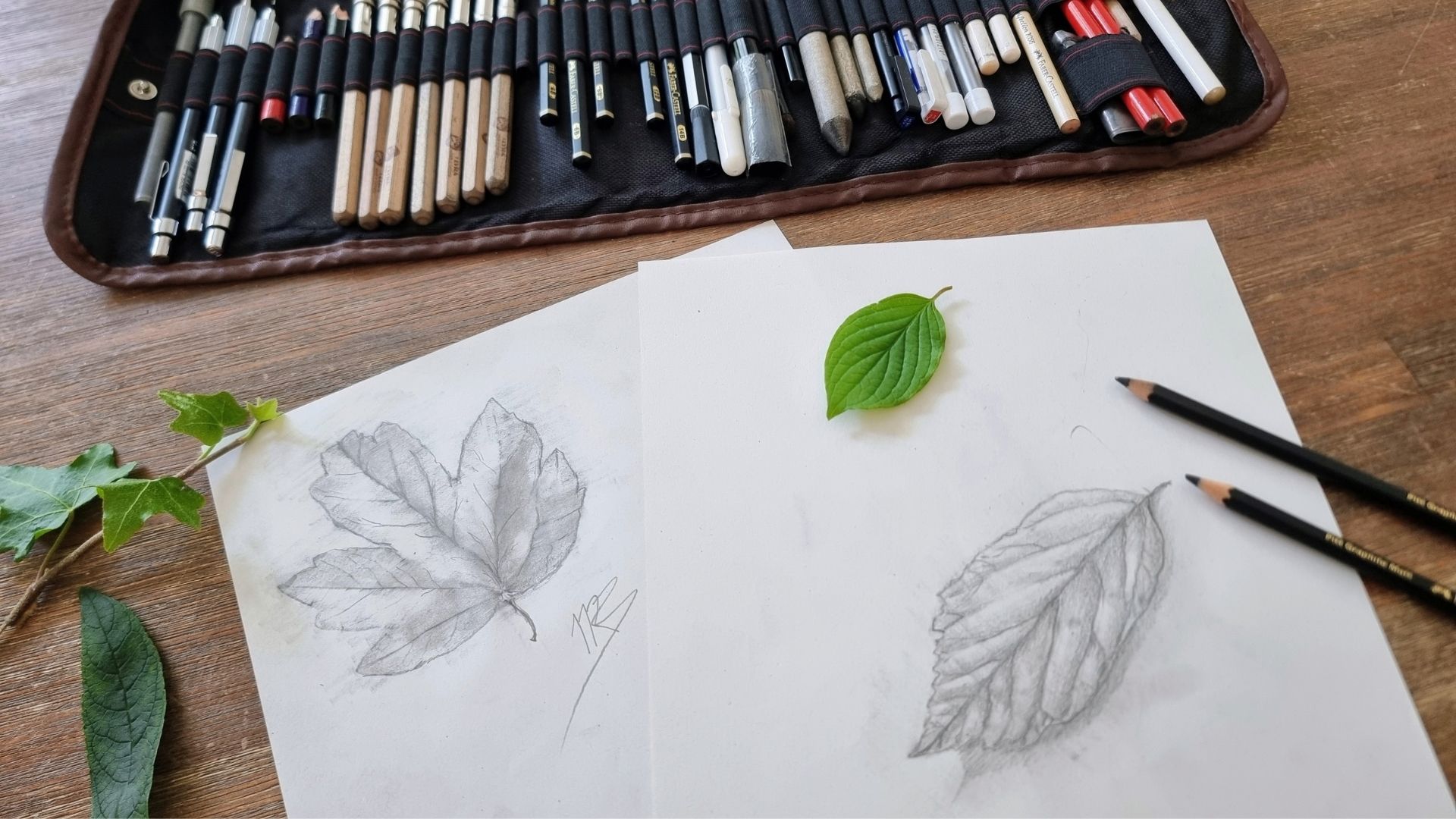 Botanisch tekenen